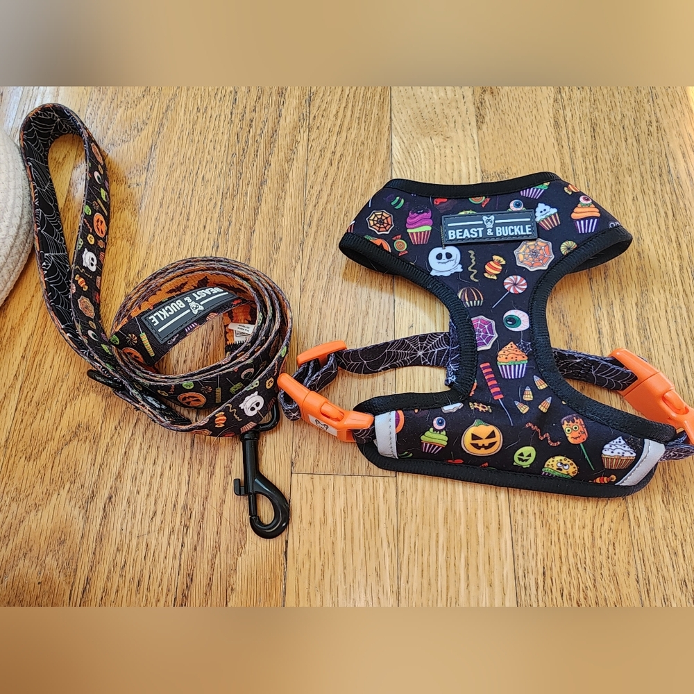 Halloween Beast & Buckle Harness & Leash Size XS